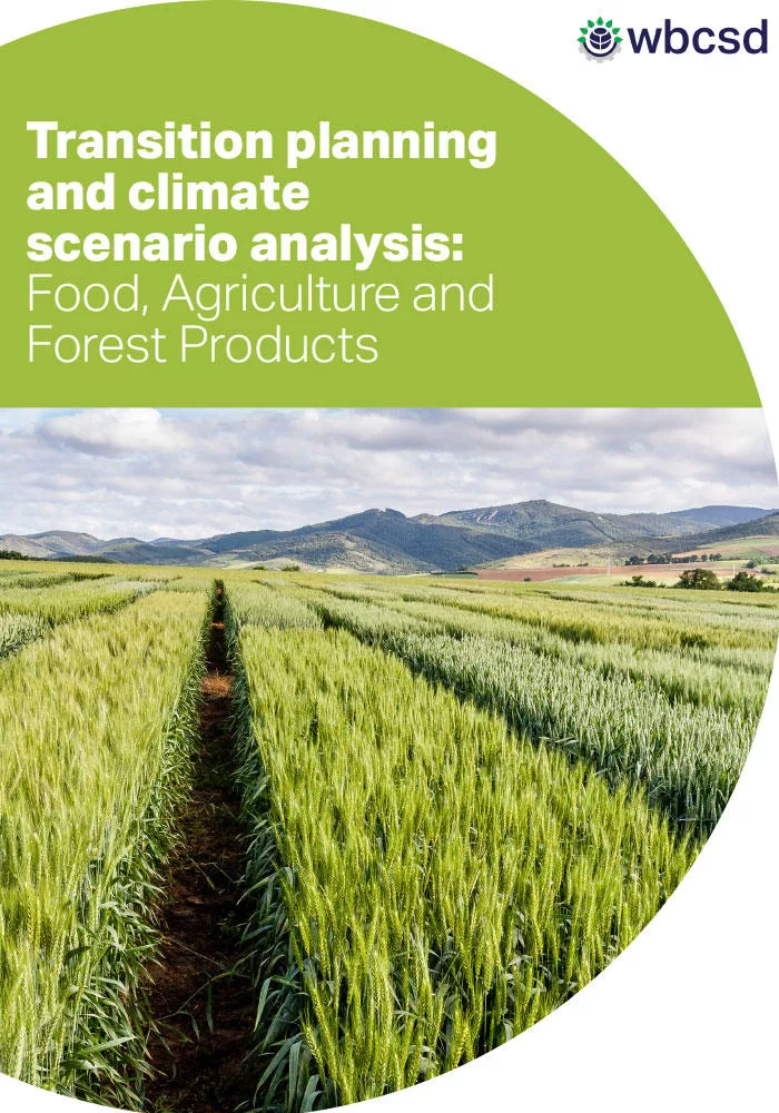 USDA’s New Regenerative Agriculture Program: A Critical Analysis of Greenwashing Concerns
