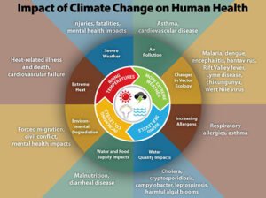 Climate Change Linked to Global Surge in Infectious Diseases, Landmark Study Warns