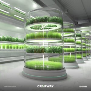 Synthetic Biology in Agriculture and Food Market Set to Surge at 13.2% CAGR Through 2033