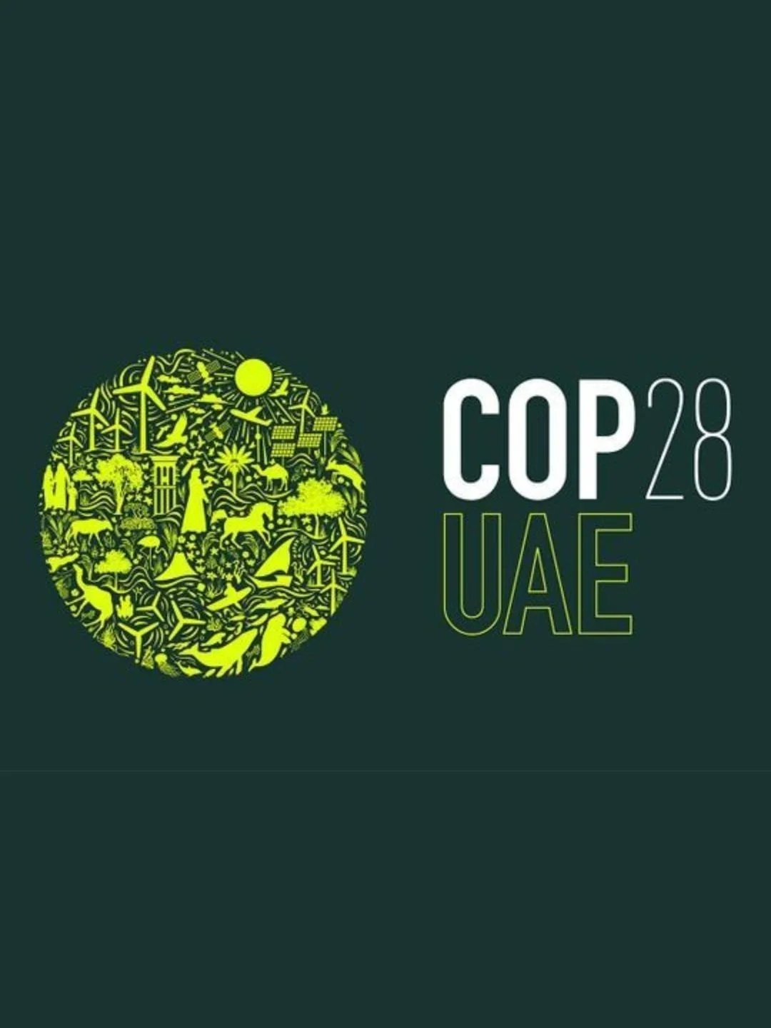 Climate Change Research Compilation: From Forest Ecosystems to Global Policy Challenges