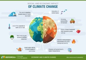 MSC Certification Program Drives Measurable Environmental Improvements in Global Fisheries