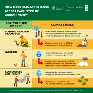 New Study Reveals Industrial Agriculture as Key Driver of Bird Population Decline