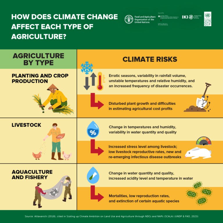 New Study Reveals Industrial Agriculture as Key Driver of Bird Population Decline