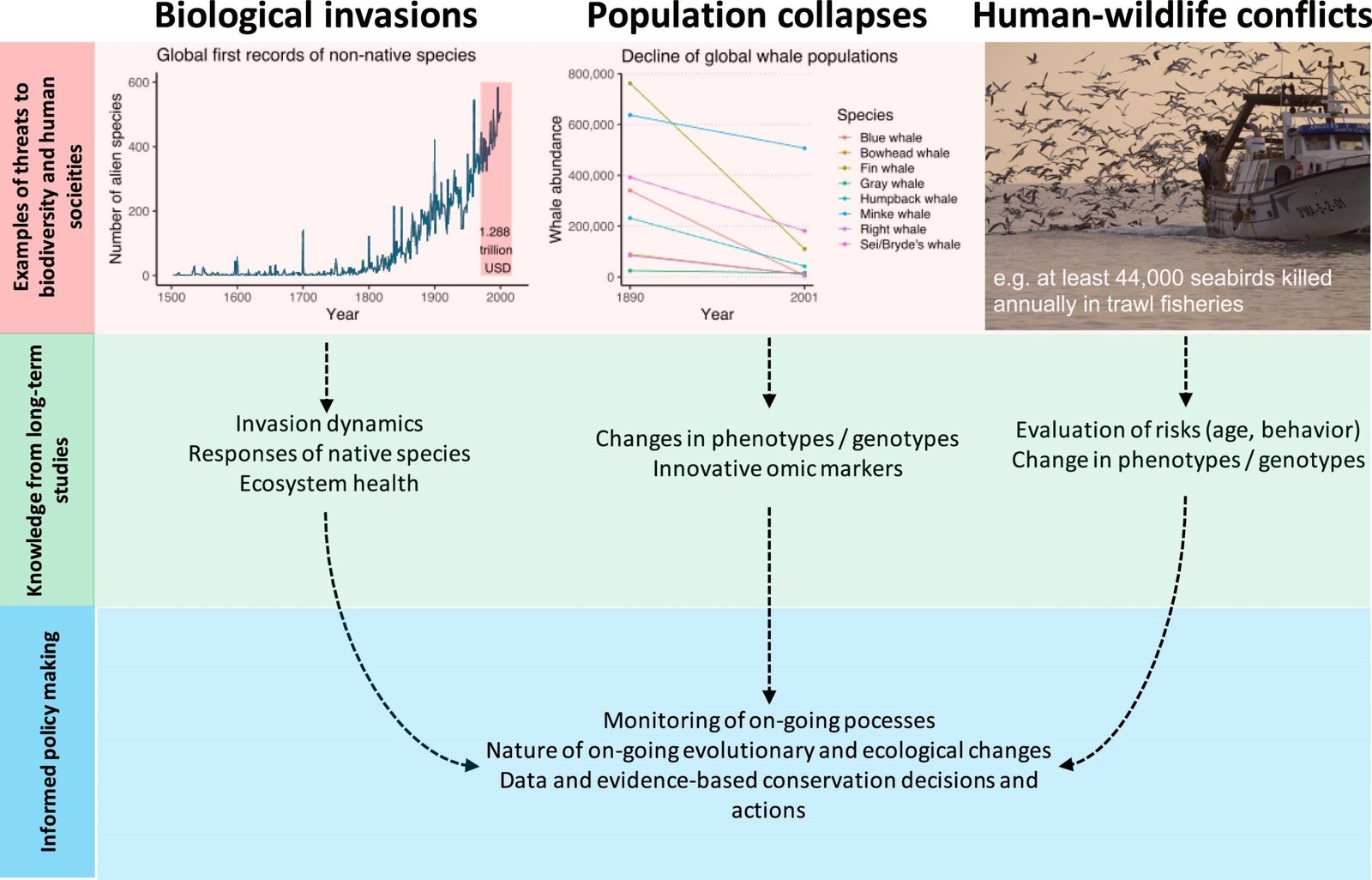 PLANTdex: Revolutionary Tool Maps Environmental Impact of Global Crop Production